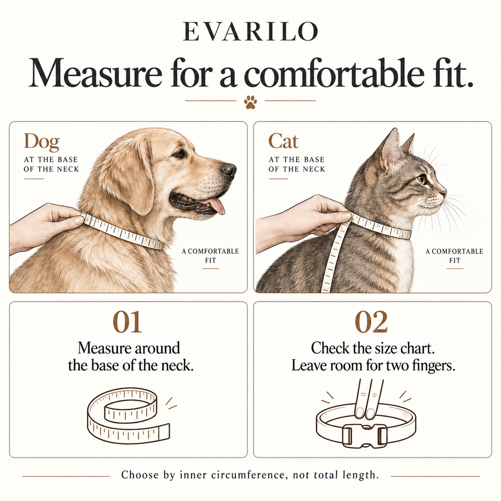 EVARILO guide to measuring a pet’s neck and checking a comfortable collar fit
