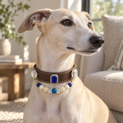 Dog wearing the EVARILO pet collar.