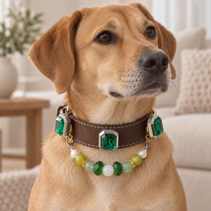 EVARILO Verdant Beaded Pet Collar — dog wearing the collar