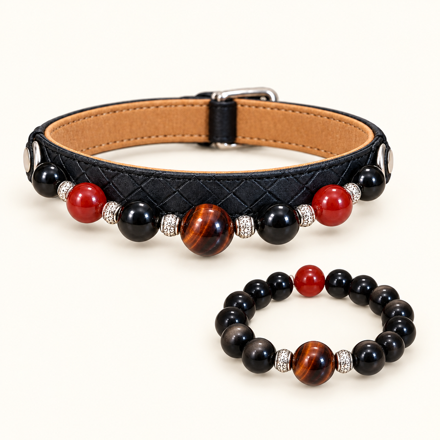 Pet collar and matching human bracelet set