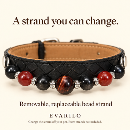 Collar with removable, replaceable bead strand