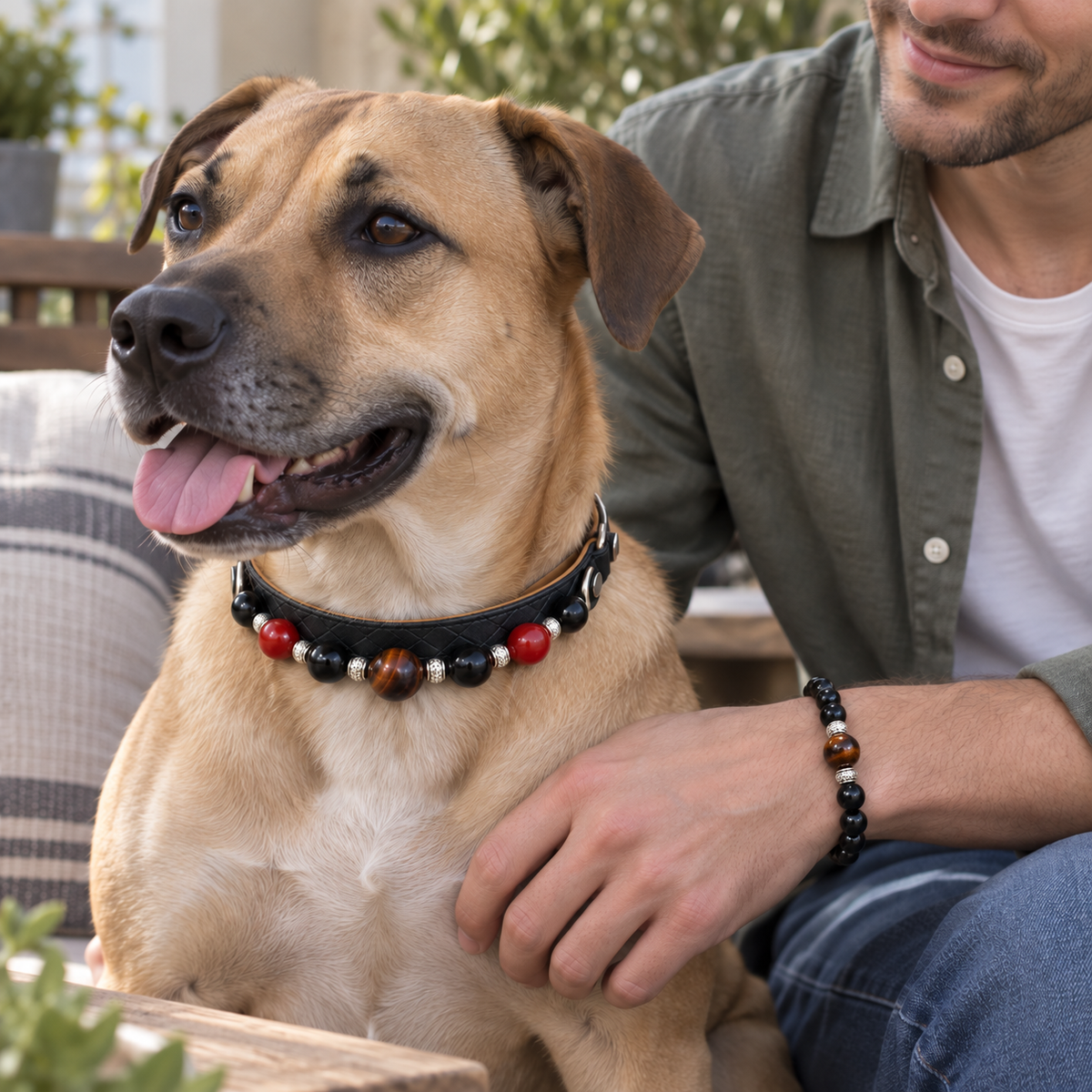 Dog wearing the EVARILO pet collar, alongside an owner wearing the matching crystal bracelet.