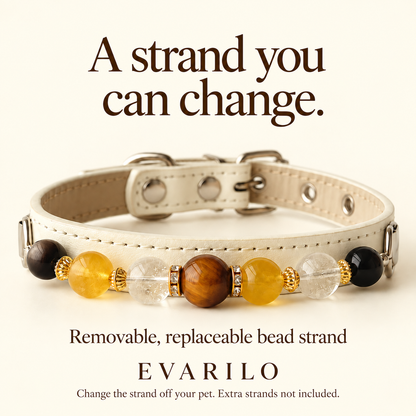Collar with removable, replaceable bead strand