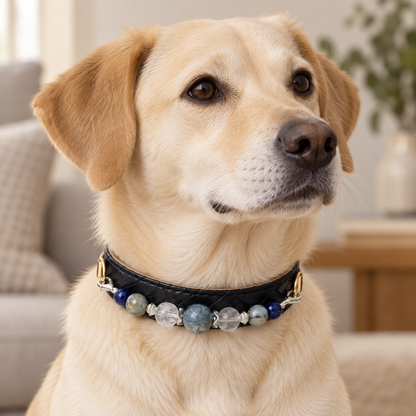 EVARILO Blue Mist Beaded Pet Collar — dog wearing the collar