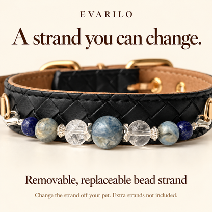 Collar with removable, replaceable bead strand