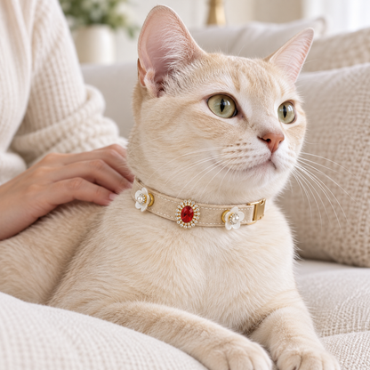 Cat wearing collar with red and white ornaments