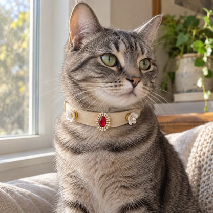 Tabby cat wearing the cream EVARILO crystal pet collar with red and white floral details.