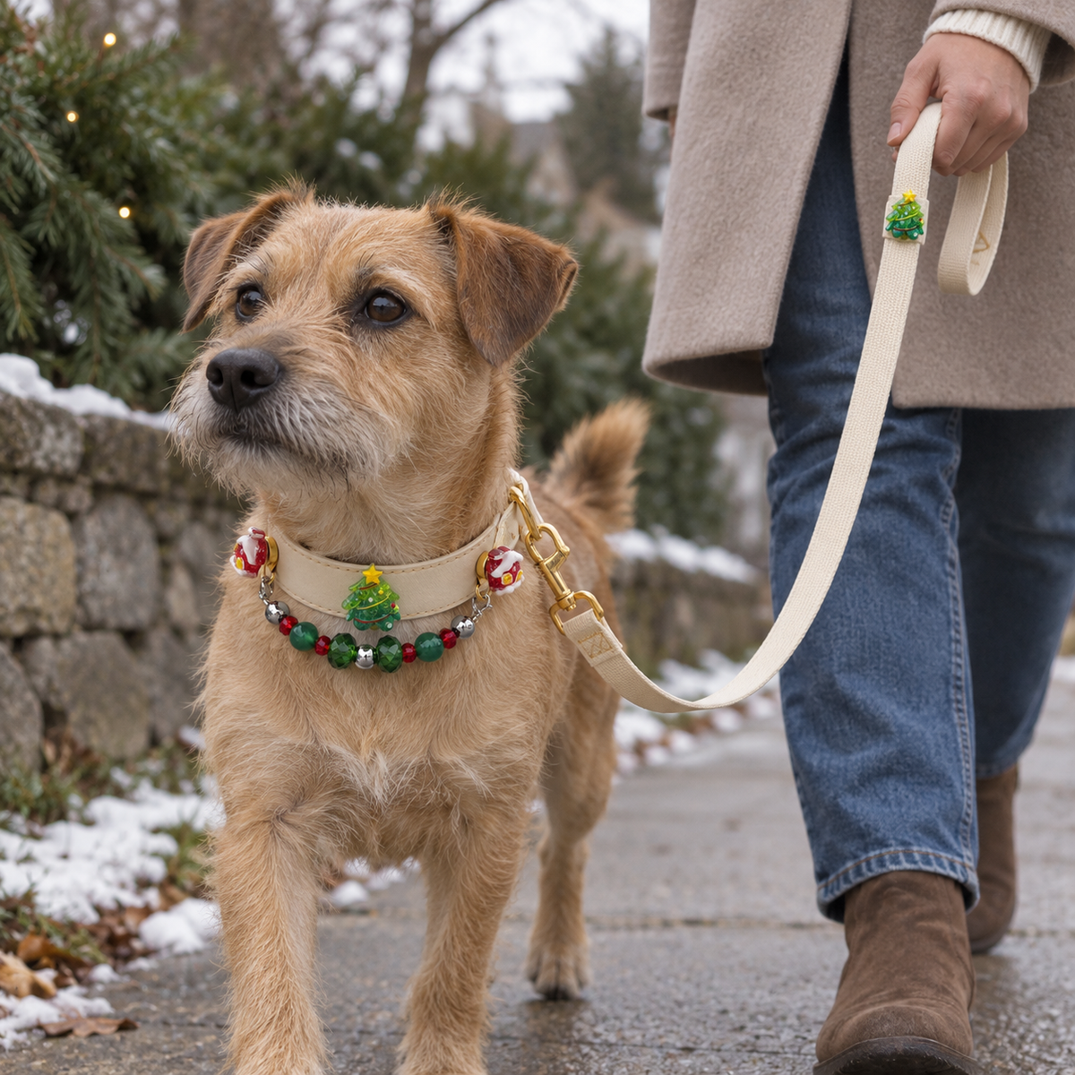 Dog wearing EVARILO Christmas tree collar with an owner holding the matching cream leash.