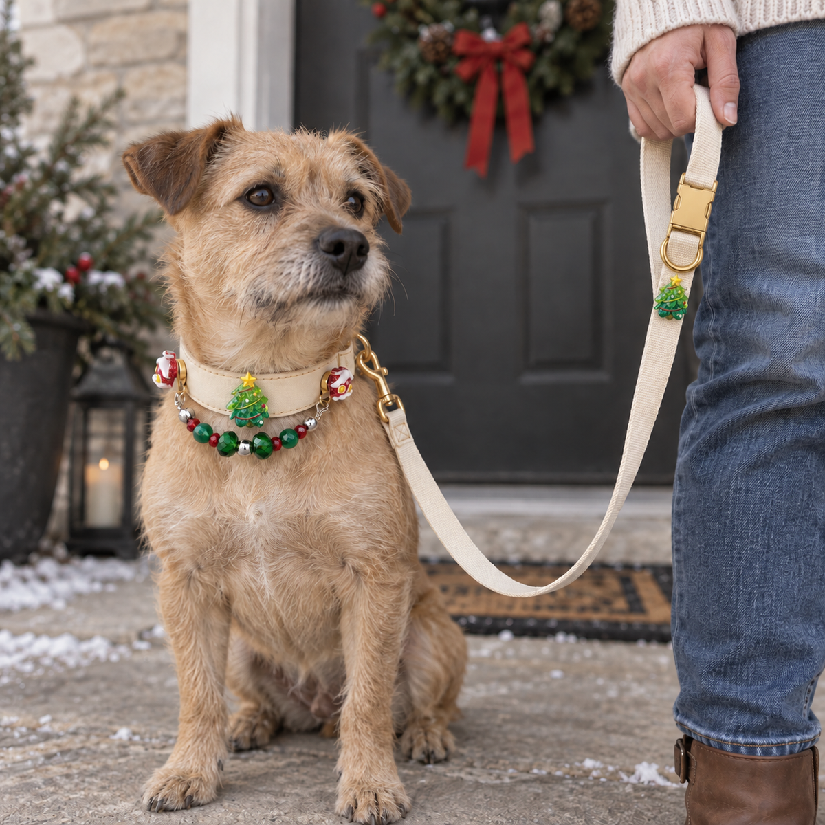 Dog wearing EVARILO Christmas tree collar with an owner holding the matching cream leash.