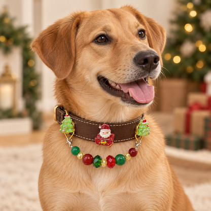Dog wearing brown Santa sleigh and Christmas tree collar