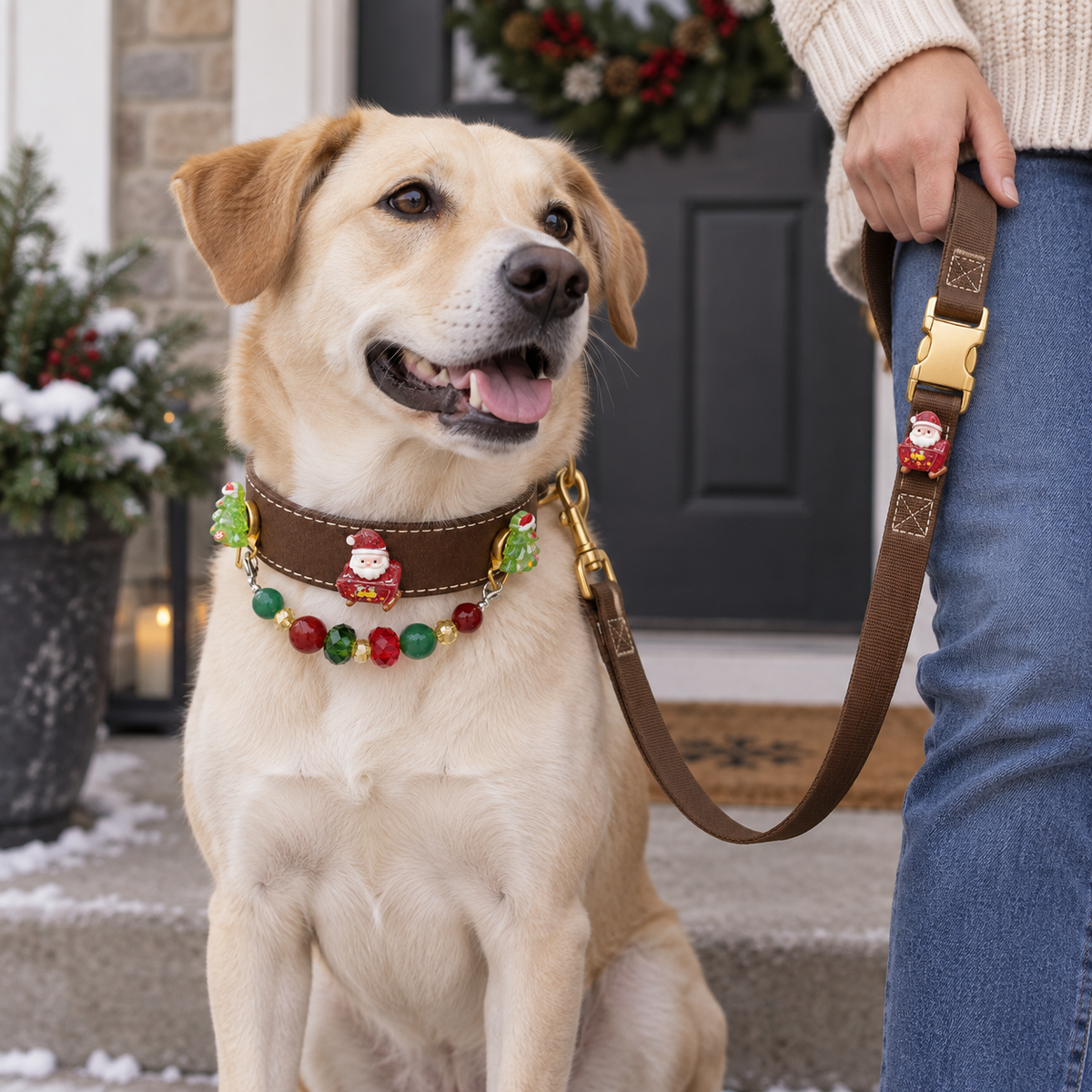 Dog wearing the EVARILO pet collar with its matching leash held by an owner.